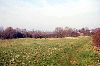 View from Timber Lane towards Aspley Guise March 2012